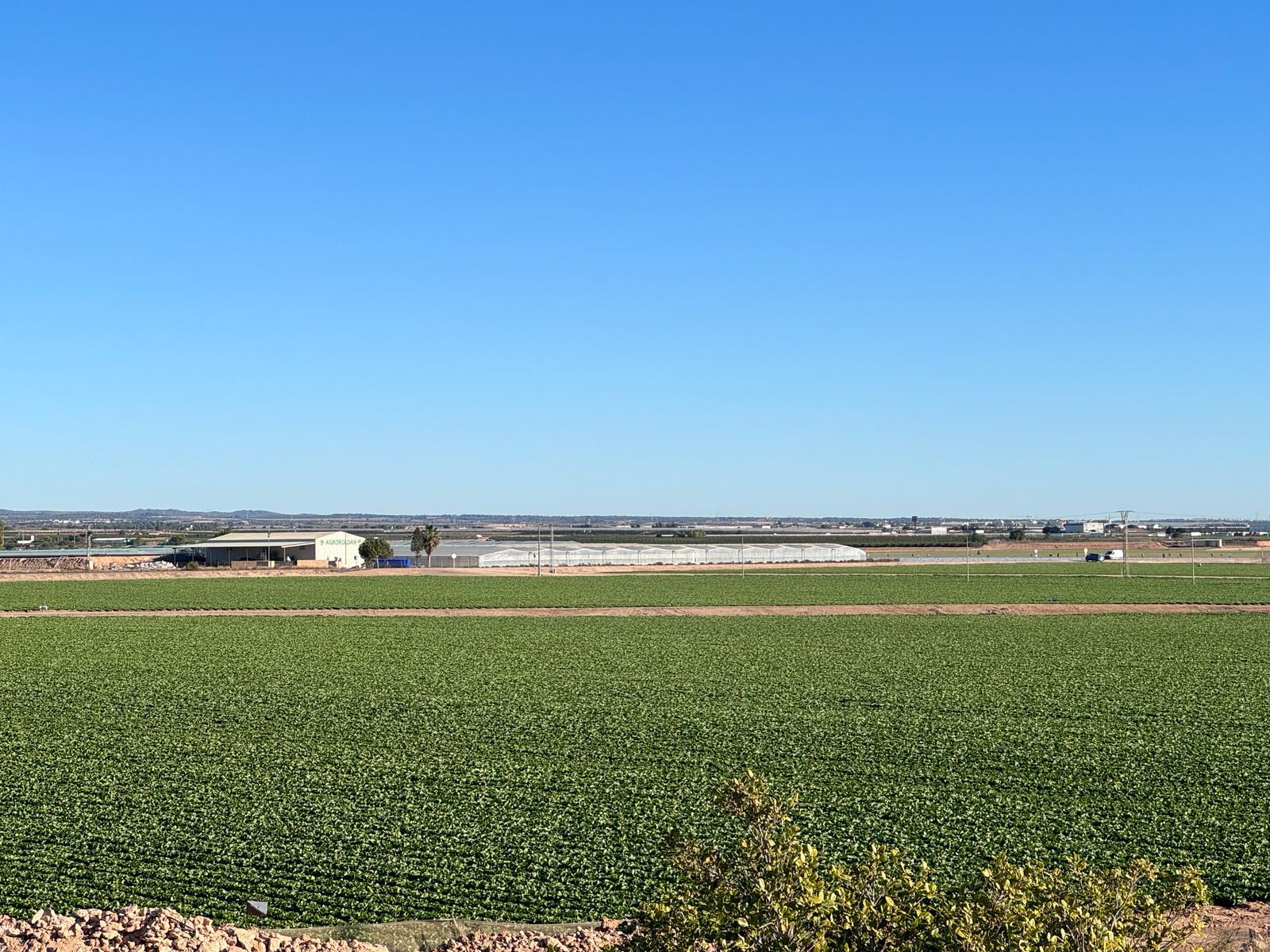 WhatsApp-Image-2024-03-05-at-18.56.22-24